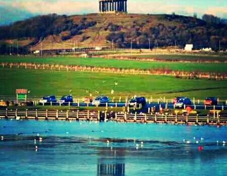 Herrington Country Park
