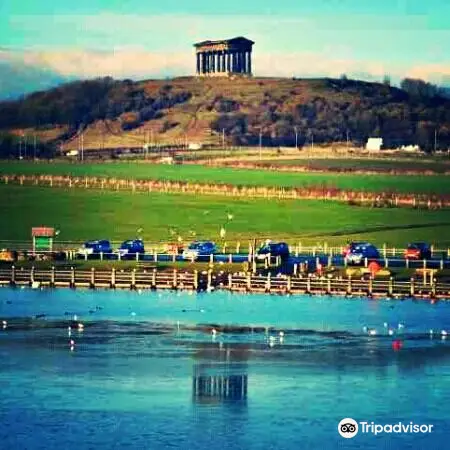 Herrington Country Park