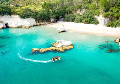 Ocean Leopard Tours Cathedral Cove Boat Tour