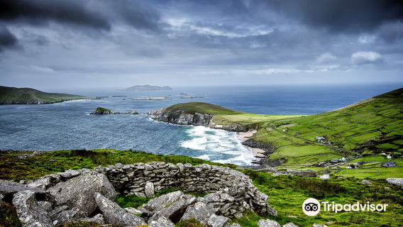 풋폴스 워킹 홀리데이스 로트