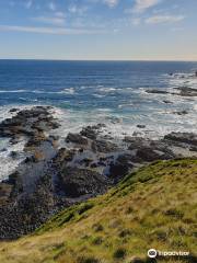 Southpoint Lookout