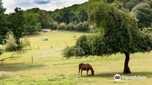 Ferme d'Ecancourt