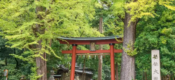 Hôtels à : Echizen