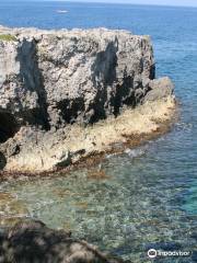 Negril Cliffs