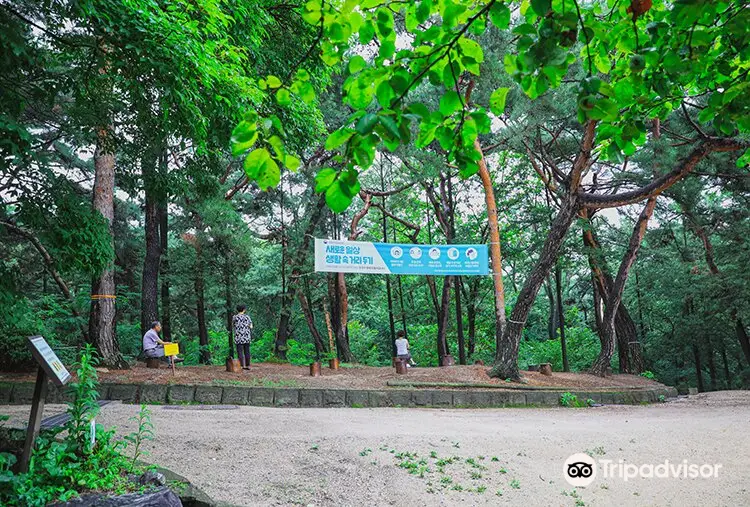 Foresta di Hongneung (Arboreto)
