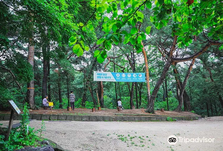 洪陵樹木園