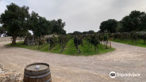 Bodegas Binifadet