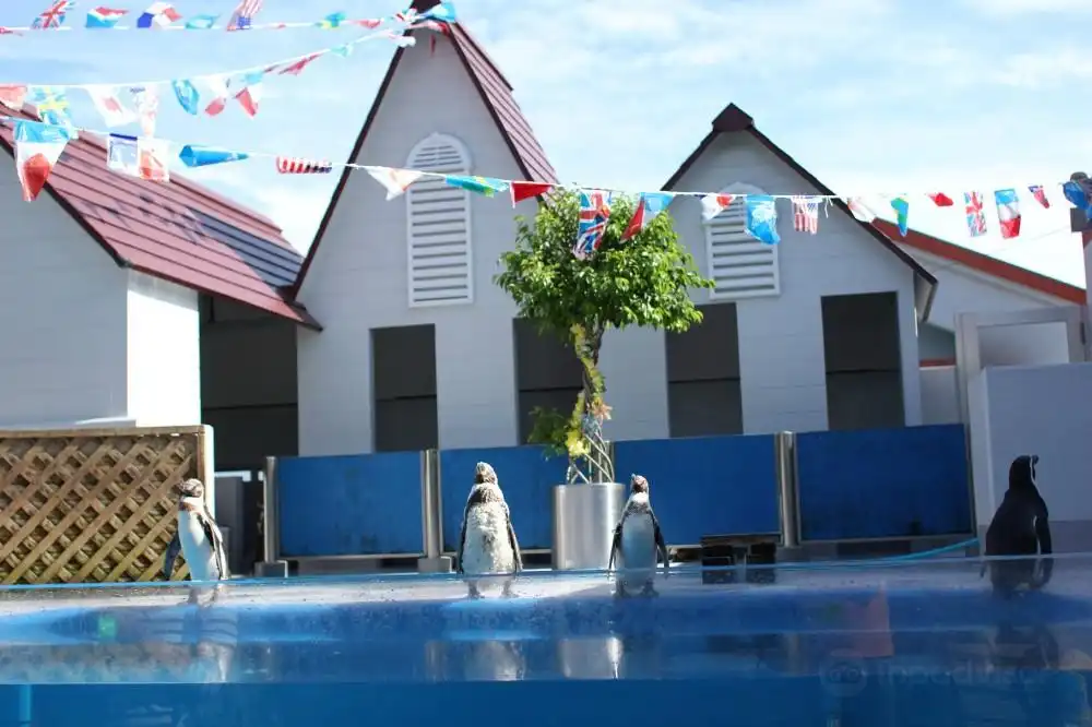 Hotels near Dolphin Park