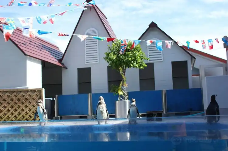 Hotels near Dolphin Park