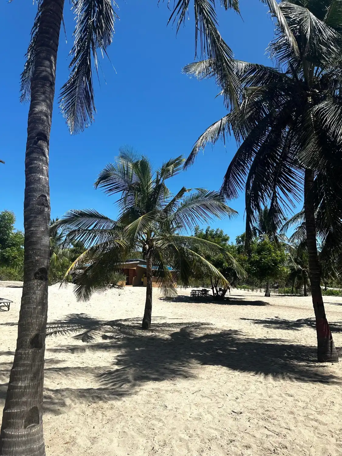 Hotels near Watamu Beach