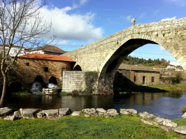 Gouviaes