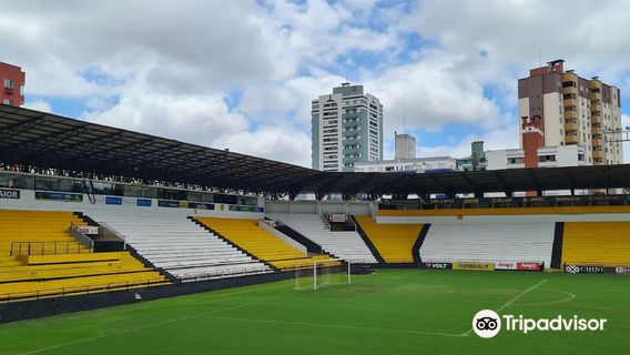 Stadium Heriberto Hülse (Majestic)