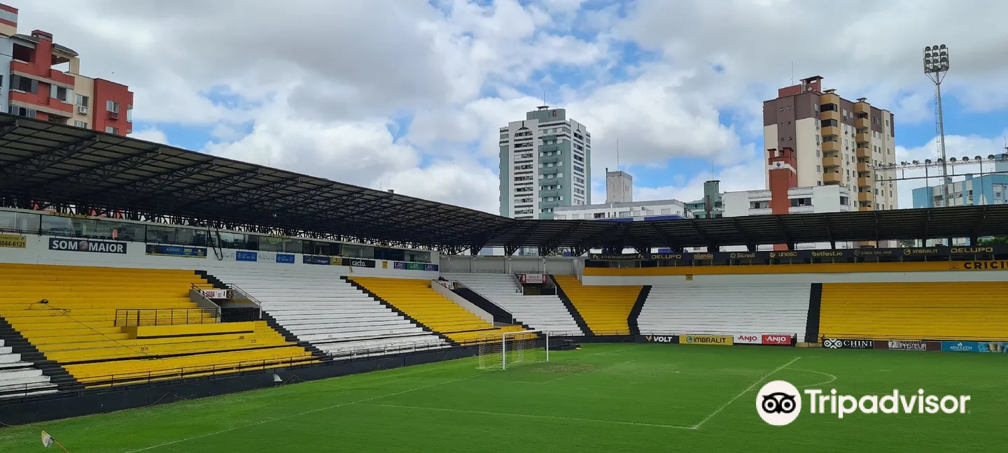 1_Stadium Heriberto Hülse (Majestic)