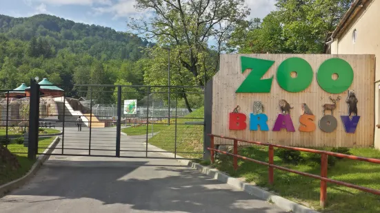 Zoo Brasov