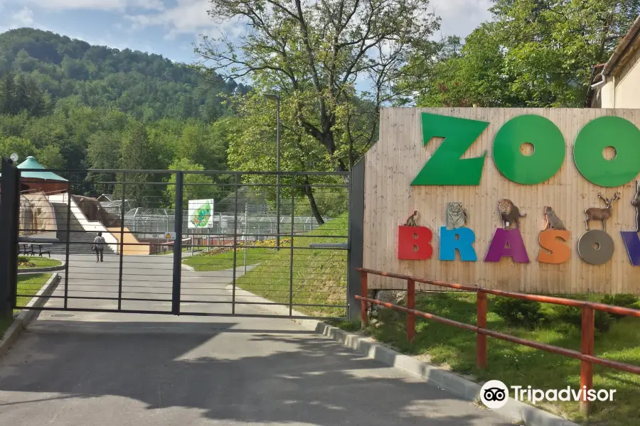 Zoo Brasov