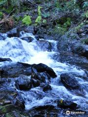 Cascata da Pedra da Ferida