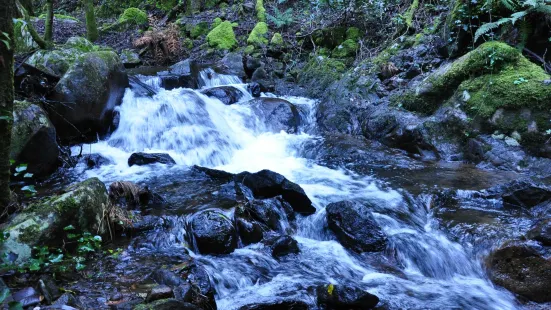 Cascata da Pedra da Ferida