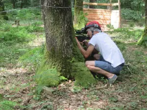 Les Tyroliennes de la Forêt