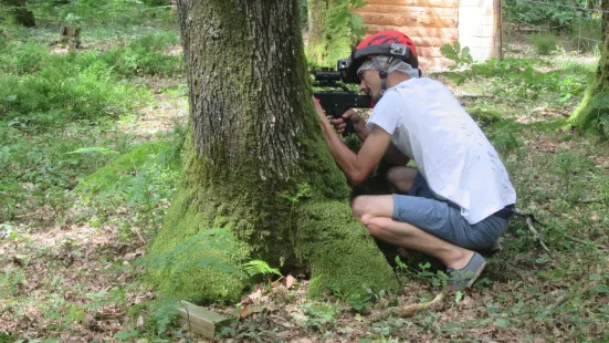 The Tyrolean Forest