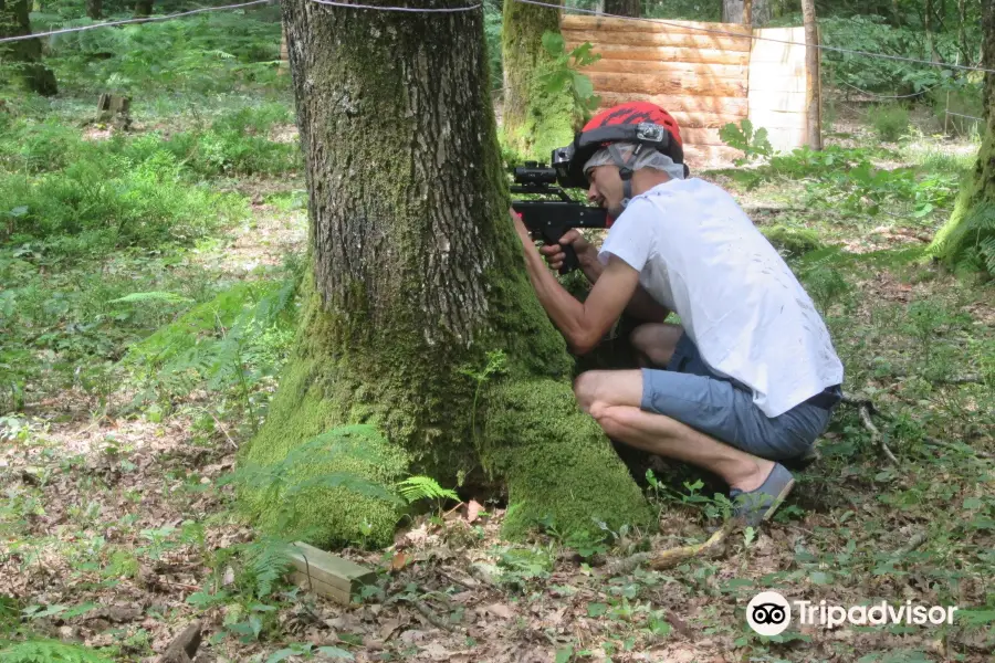 Les Tyroliennes de la Forêt