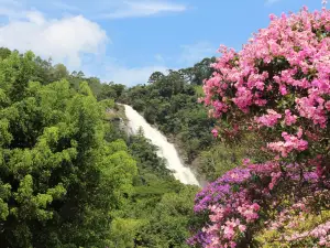 Pretos Waterfall