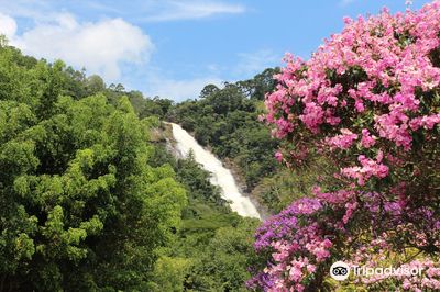 Pretos Waterfall