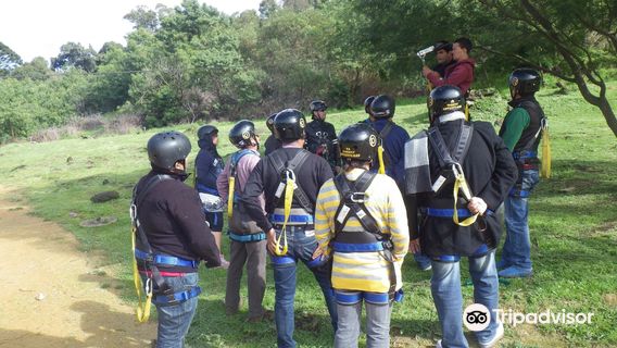 SA Forest Adventures