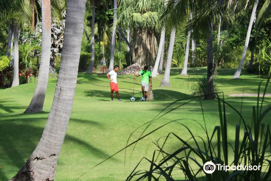 Samui Football Golf