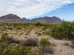 Dug Out Wells Picnic Area and Nature Trail