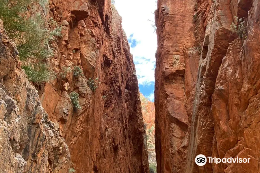 Standley Chasm Angkerle