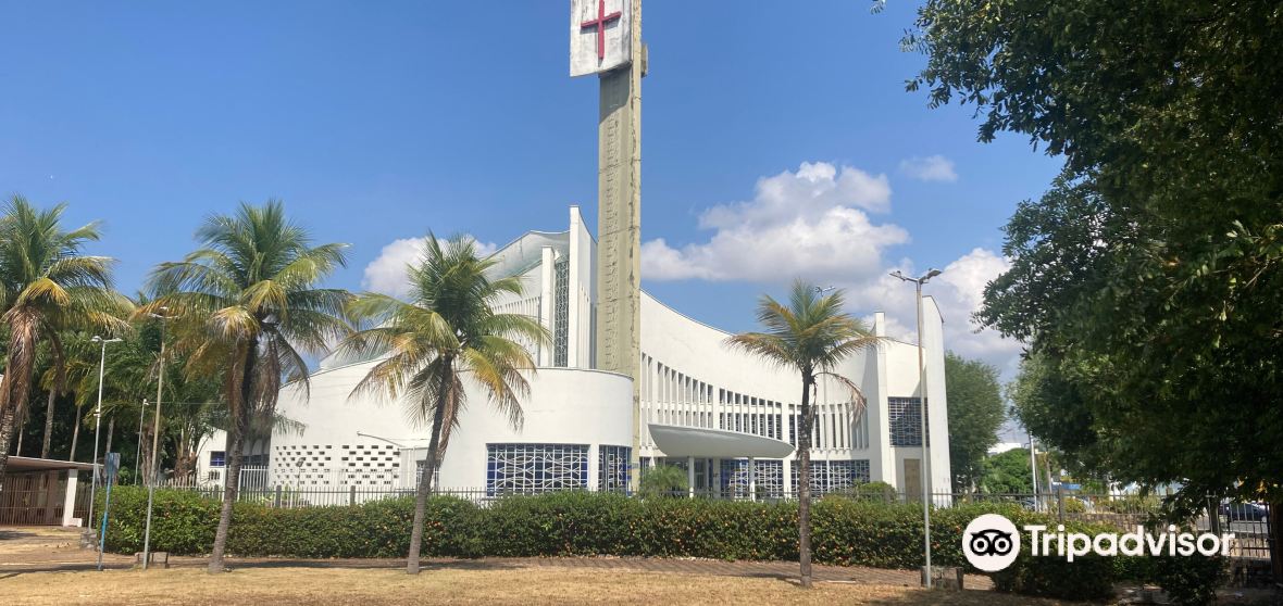 Boa Vista Travel Guide 2024 Things to Do, What To Eat & Tips