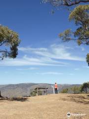 Beaufoy Merlin lookout