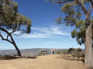 Beaufoy Merlin lookout