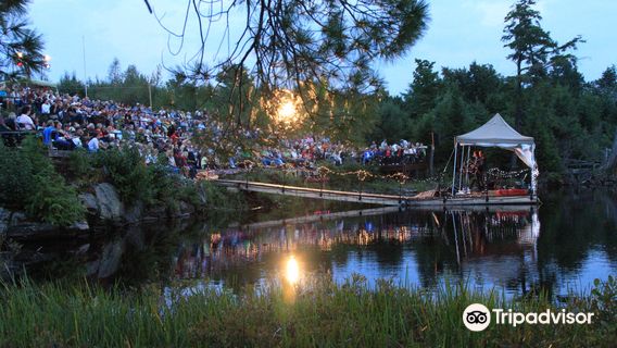 Haliburton Forest & Wild Life Reserve Ltd