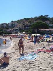 Spiaggia di Seccheto (li)