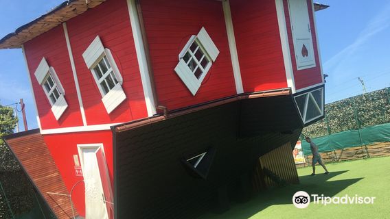 The Upside Down House