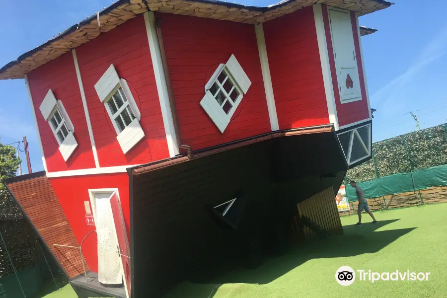 The Upside Down House