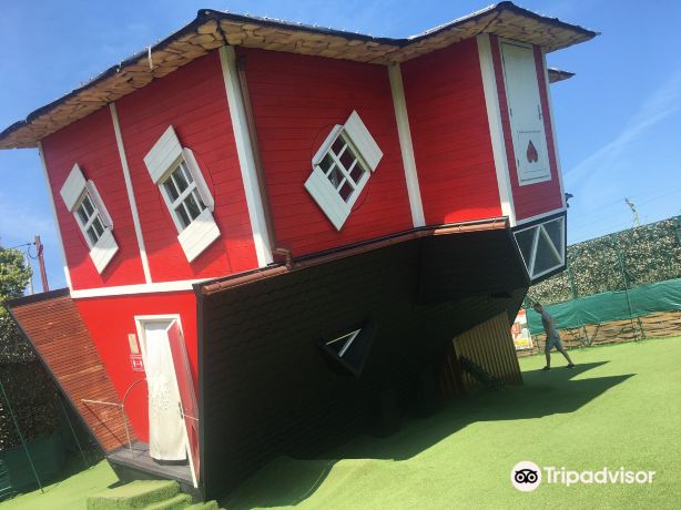 The Upside Down House