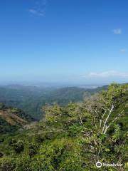 Diria National Park