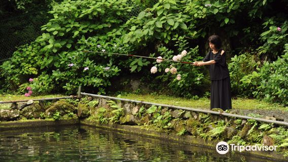 Yano Fishing Park