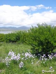 Lake Arpi National Park