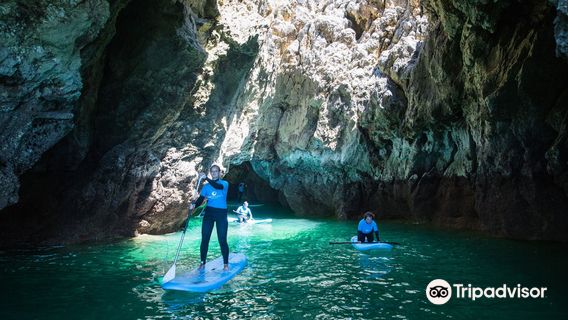 Wavesensations - Sagres Surf Shop & Surf School