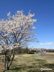 Beppunuma Park