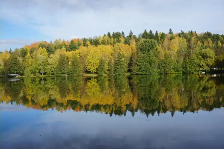 Hotels near Pikku-Vesijärvi Park