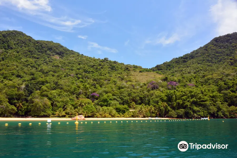 Amendoeiras Beach