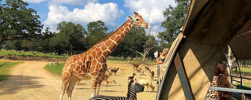 Global Wildlife Center