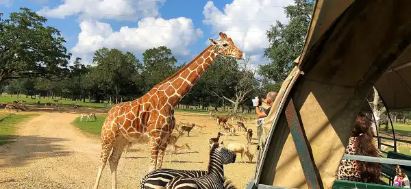 坦吉帕霍阿縣酒店