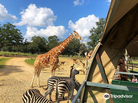 Global Wildlife Center