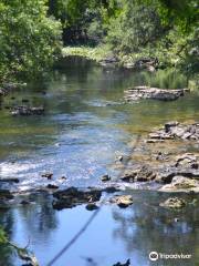 Hillsborough River State Park