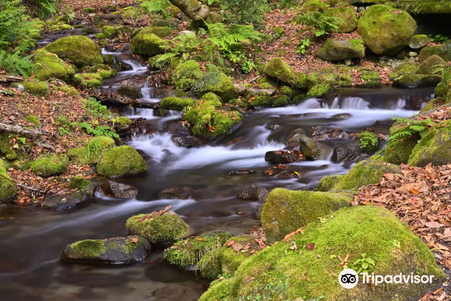 Kitanizawa Stream